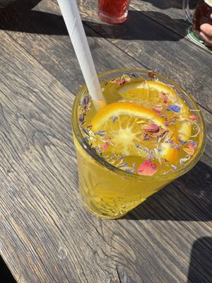   at Vegan's Prague in Prague