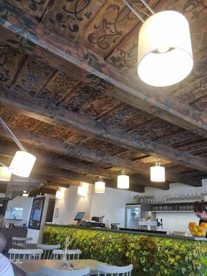  at Vegan's Prague in Prague