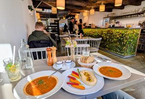  at Vegan's Prague in Prague