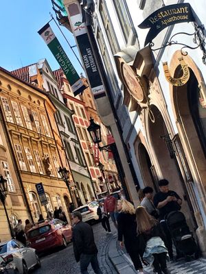 Great place! at Vegan's Prague in Prague