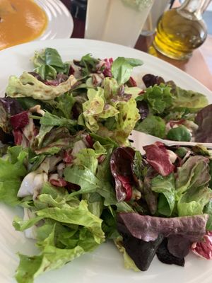 Side salad! at Vegan's Prague in Prague