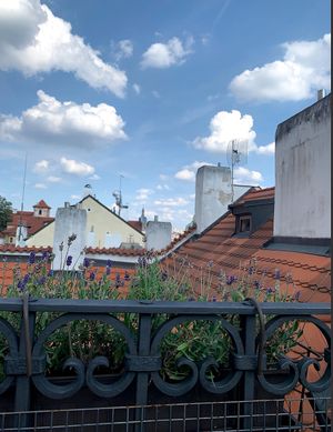 rooftop view at Vegan's Prague in Prague