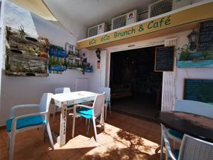 Courtyard seating area covered by beautiful trees at Eco Eco in Tenerife