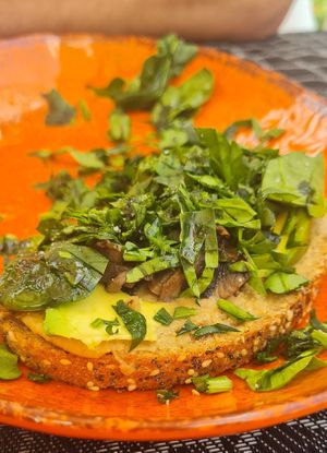 . at Eco Eco in Tenerife