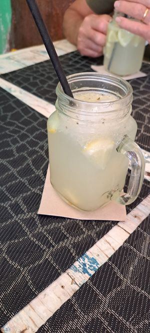  at Eco Eco in Tenerife