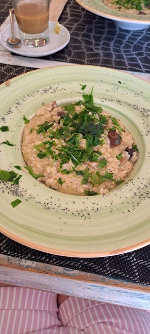  at Eco Eco in Tenerife