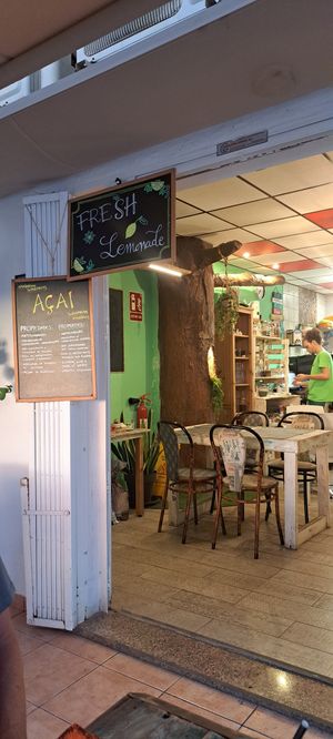  at Eco Eco in Tenerife