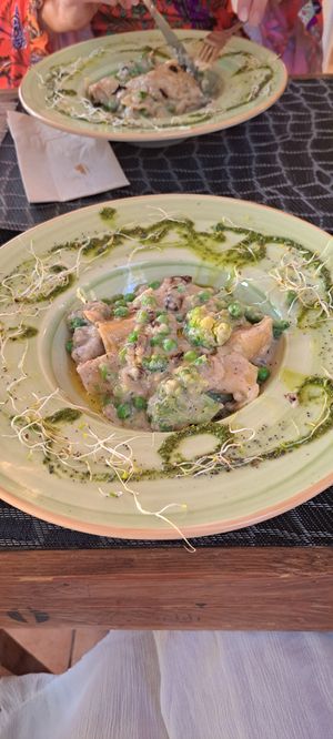  at Eco Eco in Tenerife