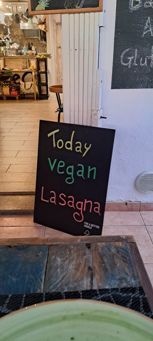  at Eco Eco in Tenerife