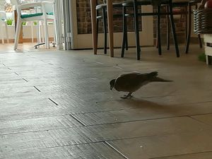 our best client  at Eco Eco in Tenerife