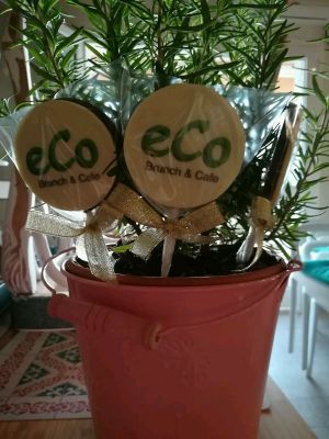 ❤❤❤ at Eco Eco in Tenerife