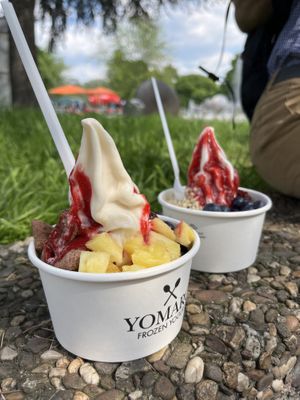 Yomaro's favorite with raspberry sauce   at YOMARO in Cologne