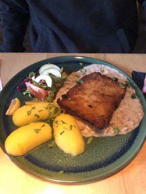 Schnitzel with mushroom cream (~15€) at Steffenhagen in Dresden