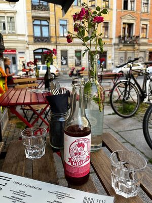   at Steffenhagen in Dresden