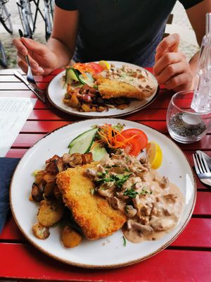  at Steffenhagen in Dresden