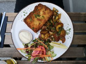  at Steffenhagen in Dresden