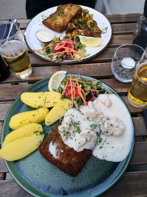  at Steffenhagen in Dresden