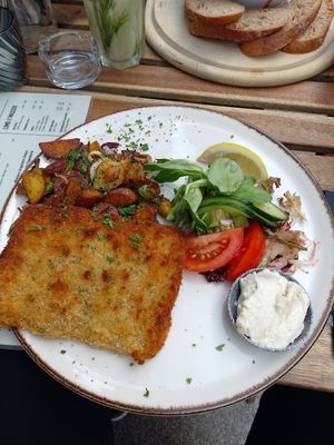  at Steffenhagen in Dresden