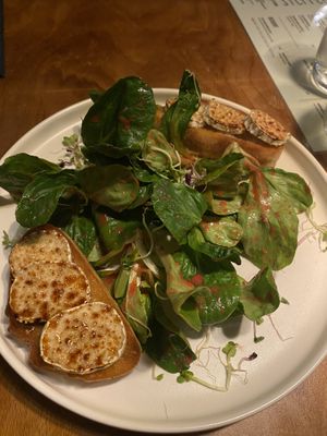   at Steffenhagen in Dresden