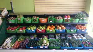 Organic Vegetables  at Health Food Village in Huntingdon Valley