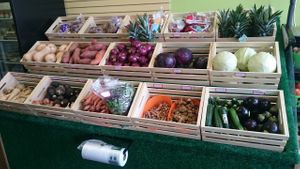 Organic Vegetables and Fruits at Health Food Village in Huntingdon Valley