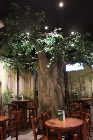 Our very own tree at Teteria El Bosque in Huesca