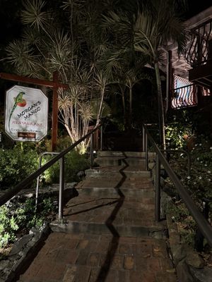   at Morgan's Mango in St John