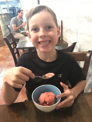 Strawberry Sorbete  at Pitstop Pizza in Coorparoo