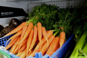 Fresh vegetables at Biofrade - A Loja da Horta in Lourinha