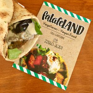 so tasty! at FalafeLand in Santorini