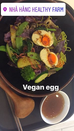 Vegan egg noodle dish. Enough to serve 2 ppl and 71 Dong at Healthy Farm - Tran Hung Dao District 1 in Ho Chi Minh City