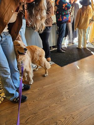 Line out the door at Coffee Lab Roasters in Tarrytown