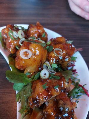 slow boat to china at Voltaire at Voltaire in Bangor