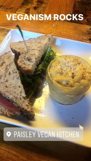 Chickpea salad sandwich and a side of macaroni and cheese at Paisley Vegan Kitchen in Cocoa