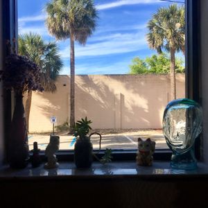 A view of blue skies and palm trees at Paisley Vegan Kitchen. Where will your journey take you today? at Paisley Vegan Kitchen in Cocoa