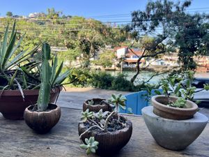 View of the canal from our table  at Pura Rio in Rio De Janeiro