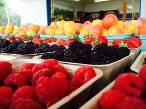 Fruit World at Fruit World in Sicamous