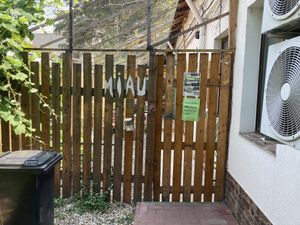 Entrance   at Miau in Bucharest