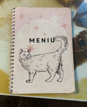   at Miau in Bucharest