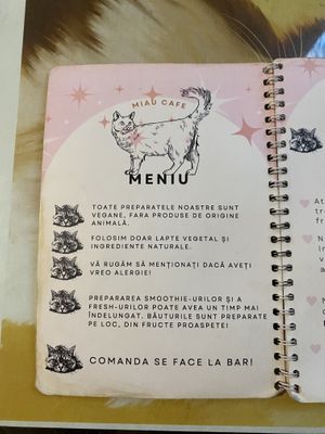   at Miau in Bucharest