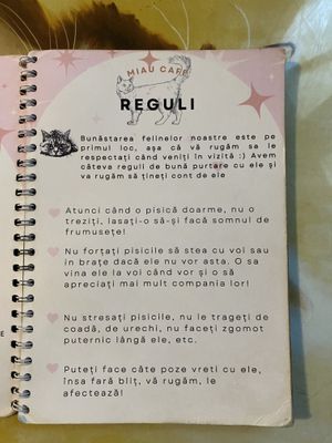   at Miau in Bucharest