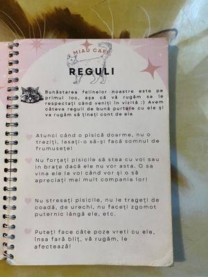   at Miau in Bucharest