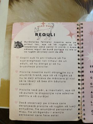   at Miau in Bucharest