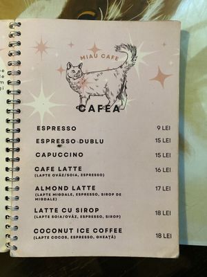   at Miau in Bucharest