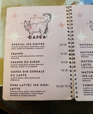   at Miau in Bucharest