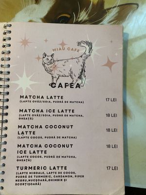   at Miau in Bucharest