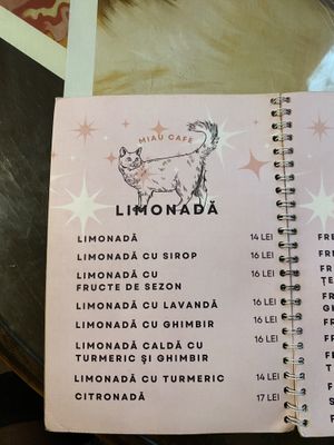   at Miau in Bucharest