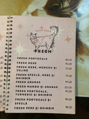   at Miau in Bucharest