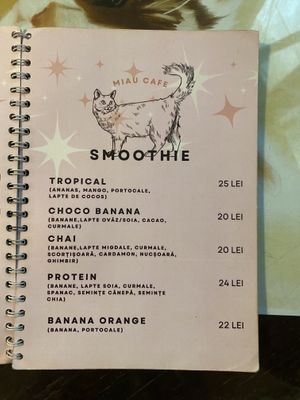   at Miau in Bucharest