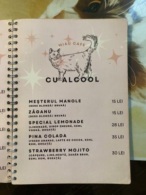   at Miau in Bucharest